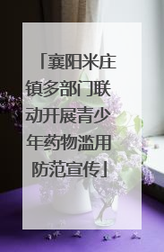 襄阳米庄镇多部门联动开展青少年药物滥用防范宣传