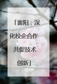 襄阳：深化校企合作 共促技术创新