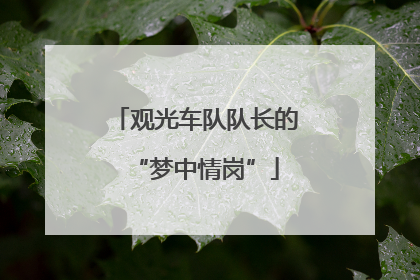 观光车队队长的“梦中情岗”