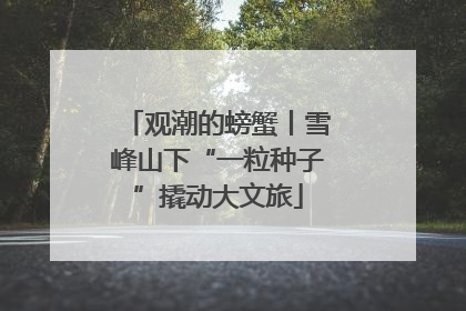 观潮的螃蟹丨雪峰山下“一粒种子”撬动大文旅