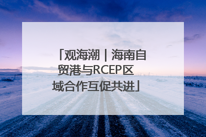 观海潮｜海南自贸港与RCEP区域合作互促共进