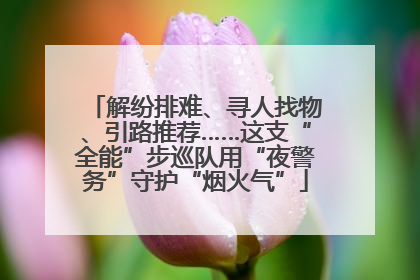 解纷排难、寻人找物、引路推荐……这支“全能”步巡队用“夜警务”守护“烟火气”