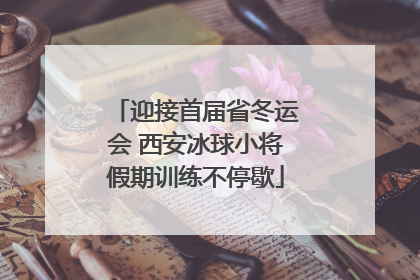 迎接首届省冬运会 西安冰球小将假期训练不停歇