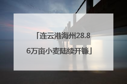 连云港海州28.86万亩小麦陆续开镰