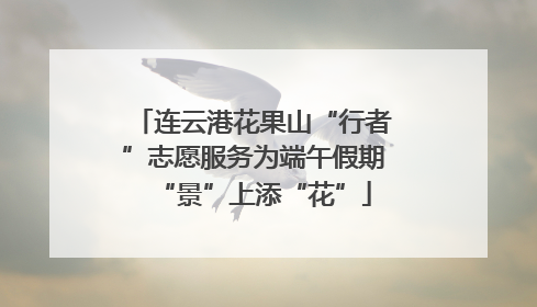 连云港花果山“行者”志愿服务为端午假期“景”上添“花”