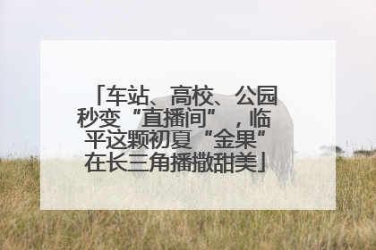 车站、高校、公园秒变“直播间”，临平这颗初夏“金果”在长三角播撒甜美