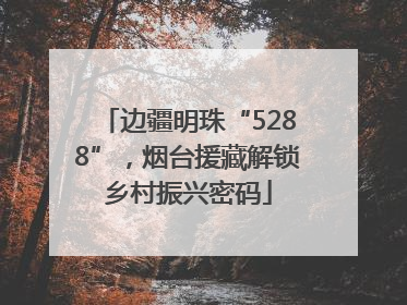 边疆明珠“5288”，烟台援藏解锁乡村振兴密码