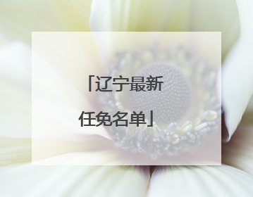 辽宁最新任免名单