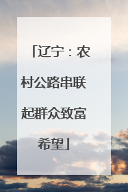 辽宁：农村公路串联起群众致富希望