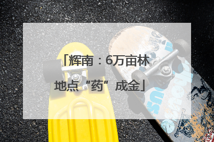 辉南：6万亩林地点“药”成金
