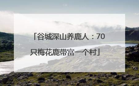 谷城深山养鹿人：70只梅花鹿带富一个村