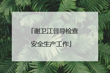 谢卫江督导检查安全生产工作