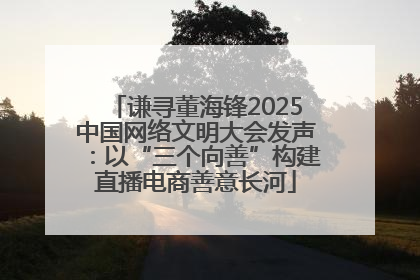 谦寻董海锋2025中国网络文明大会发声：以“三个向善”构建直播电商善意长河