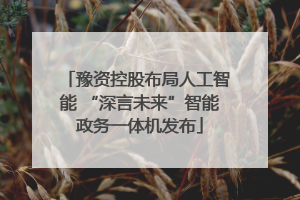 豫资控股布局人工智能 “深言未来”智能政务一体机发布