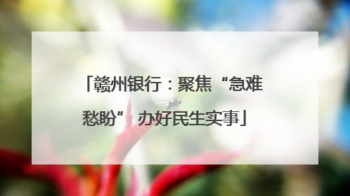 赣州银行：聚焦“急难愁盼” 办好民生实事