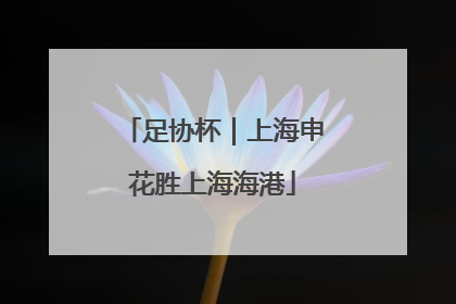 足协杯｜上海申花胜上海海港