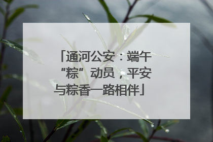 通河公安：端午“粽”动员，平安与粽香一路相伴