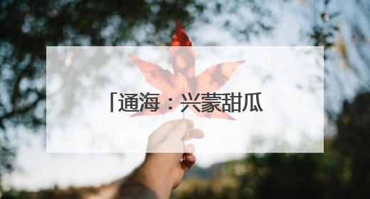 通海：兴蒙甜瓜飘香季 “甜蜜经济”促振兴