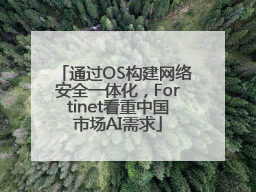 通过OS构建网络安全一体化，Fortinet看重中国市场AI需求