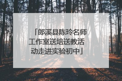 郎溪县陈玲名师工作室送培送教活动走进实验初中