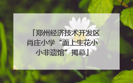 郑州经济技术开发区肖庄小学“面上生花小小非遗馆”揭幕