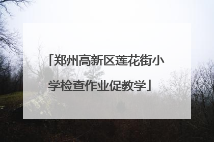 郑州高新区莲花街小学检查作业促教学