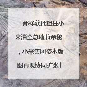 郝祥获批担任小米消金总助兼董秘，小米集团资本版图再现协同扩张