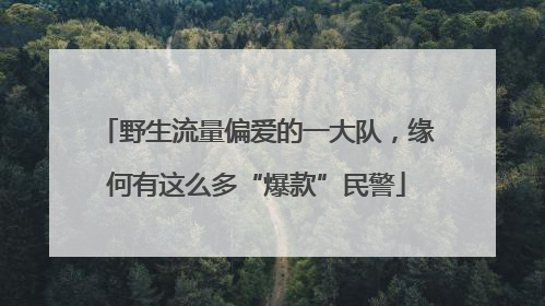 野生流量偏爱的一大队，缘何有这么多“爆款”民警