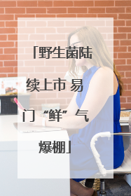 野生菌陆续上市 易门“鲜”气爆棚