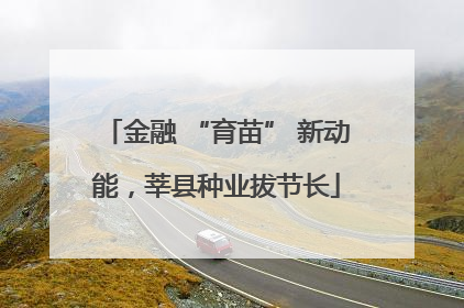 金融 “育苗” 新动能，莘县种业拔节长