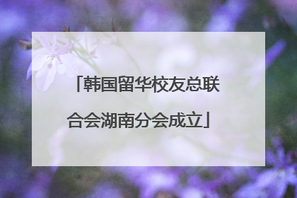 韩国留华校友总联合会湖南分会成立