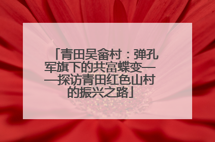 青田吴畲村：弹孔军旗下的共富蝶变——探访青田红色山村的振兴之路