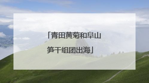 青田黄菊和阜山笋干组团出海
