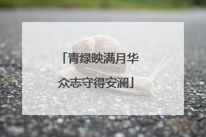 青绿映满月华 众志守得安澜