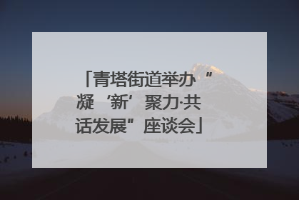 青塔街道举办“凝‘新’聚力·共话发展”座谈会