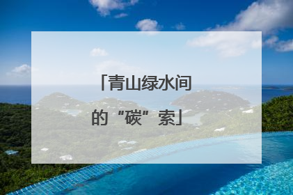 青山绿水间的“碳”索