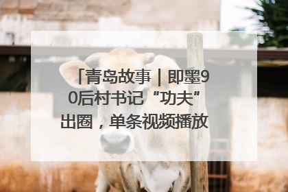 青岛故事｜即墨90后村书记“功夫”出圈，单条视频播放量过600万
