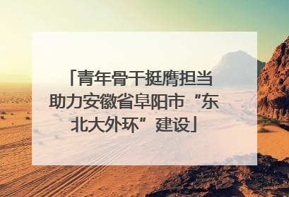 青年骨干挺膺担当 助力安徽省阜阳市“东北大外环”建设