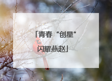 青春“创星” 闪耀燕赵