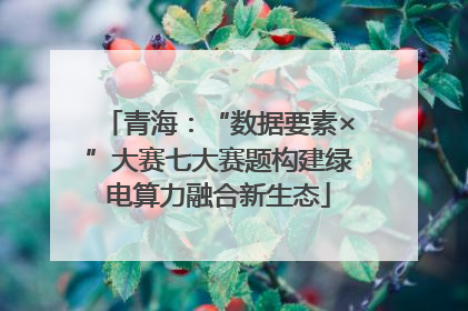 青海：“数据要素×”大赛七大赛题构建绿电算力融合新生态