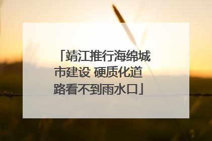 靖江推行海绵城市建设 硬质化道路看不到雨水口