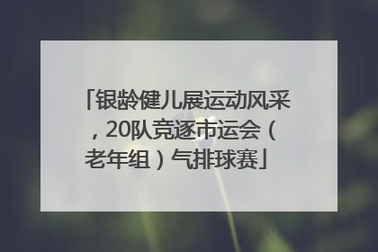 银龄健儿展运动风采，20队竞逐市运会（老年组）气排球赛