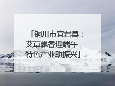 铜川市宜君县：艾草飘香迎端午 特色产业助振兴