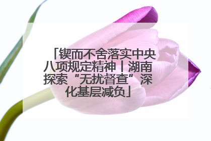 锲而不舍落实中央八项规定精神丨湖南探索“无扰督查”深化基层减负