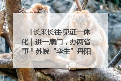 长来长往·见证一体化｜进一扇门，办两省事！苏皖“孪生”丹阳如何做到的？