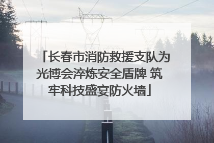 长春市消防救援支队为光博会淬炼安全盾牌 筑牢科技盛宴防火墙