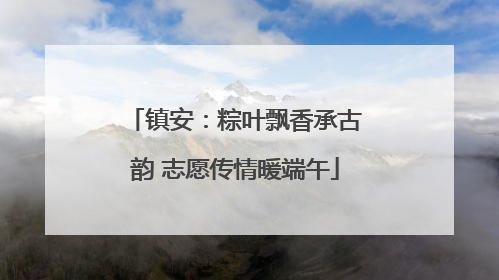 镇安：粽叶飘香承古韵 志愿传情暖端午