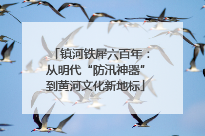 镇河铁犀六百年：从明代“防汛神器”到黄河文化新地标