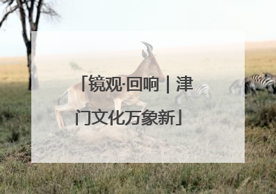 镜观·回响｜津门文化万象新