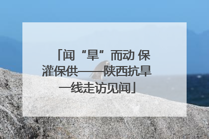 闻“旱”而动 保灌保供——陕西抗旱一线走访见闻